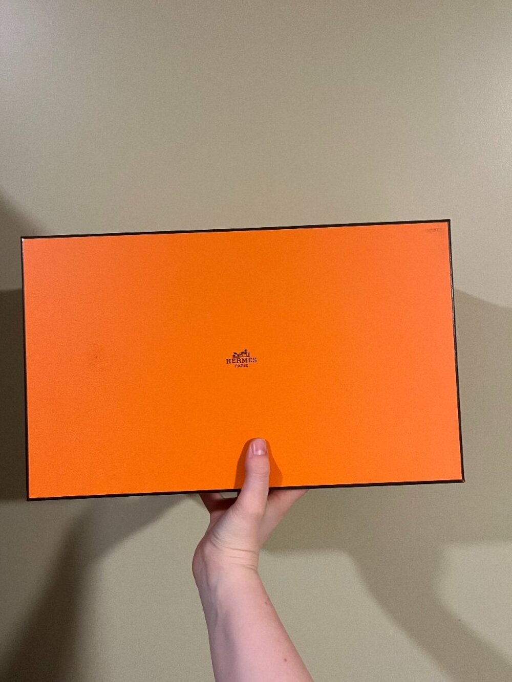 Hermes shoe Box